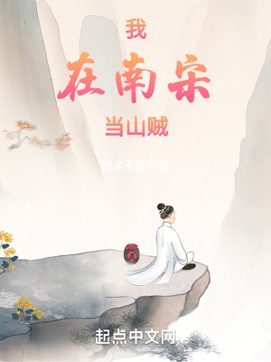 宋贼