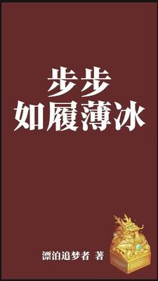 官场之权利巅峰