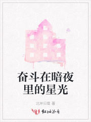 奋斗在暗夜里的星光